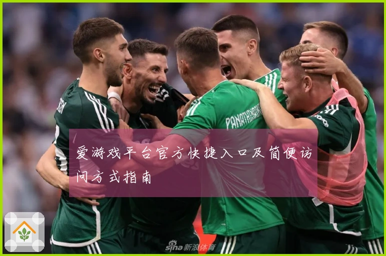 爱游戏平台官方快捷入口及简便访问方式指南
